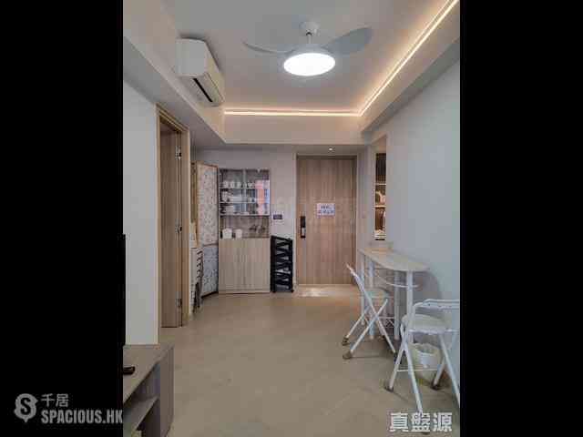 Jordan - Arbour 03