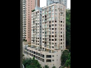 Happy Valley - Ventris Terrace 05