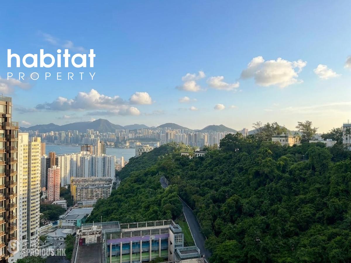 Shau Kei Wan - Island Garden 01