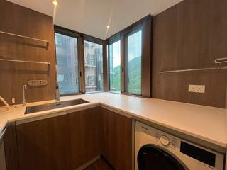 Shau Kei Wan - Island Garden 07