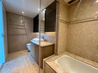 Shau Kei Wan - Island Garden 10