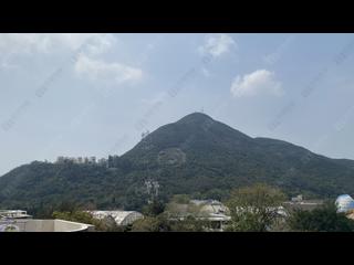 Shouson Hill - The Hazelton 13