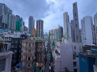 中環 - 東澤臺 04
