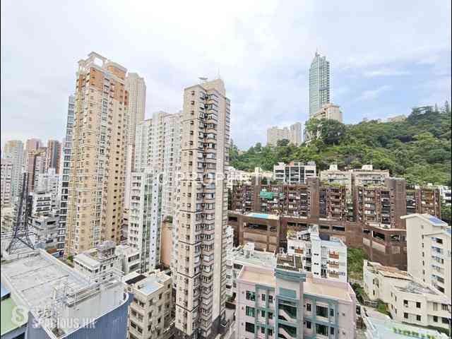Happy Valley - Eight Kwai Fong Happy Valley 06