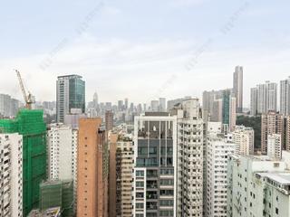 Happy Valley - The Aster (Resiglow) 13