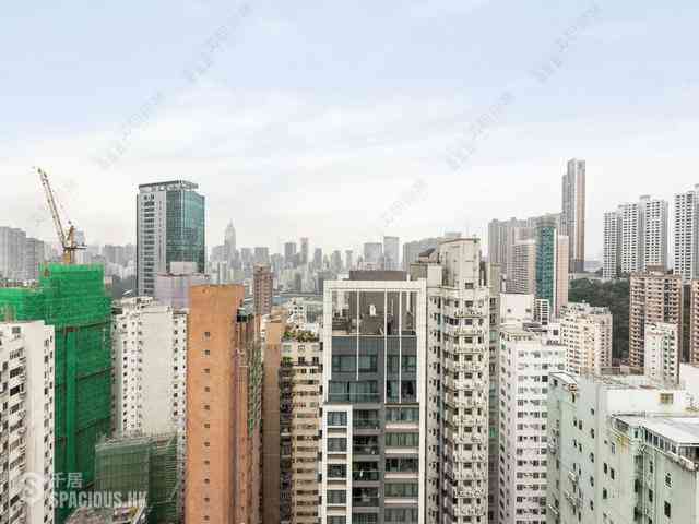 Happy Valley - The Aster (Resiglow) 13