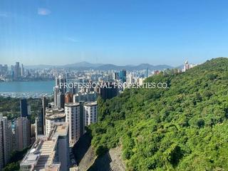 Tai Hang - Serenade 02
