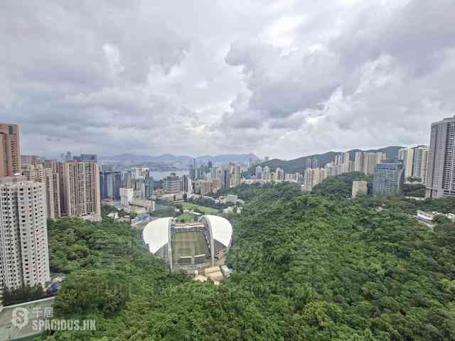 Happy Valley - Broadwood Park 06
