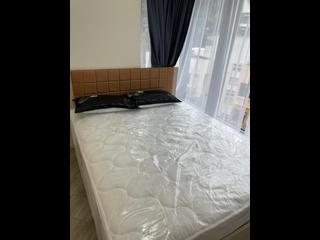 北角 - 柏蔚山1座 11