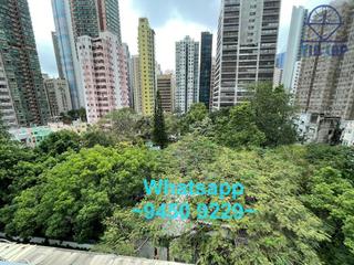 Poho - 240, Hollywood Road 02