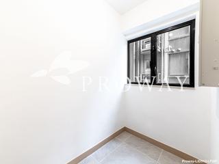 Mid Levels Central - 62B, Robinson Road 11