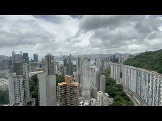 Tai Hang - The Signature 10