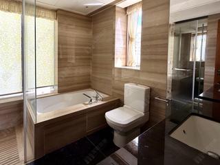 Tai Hang - The Signature 14
