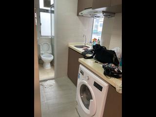 Tai Hang - 14, Wun Sha Street 07