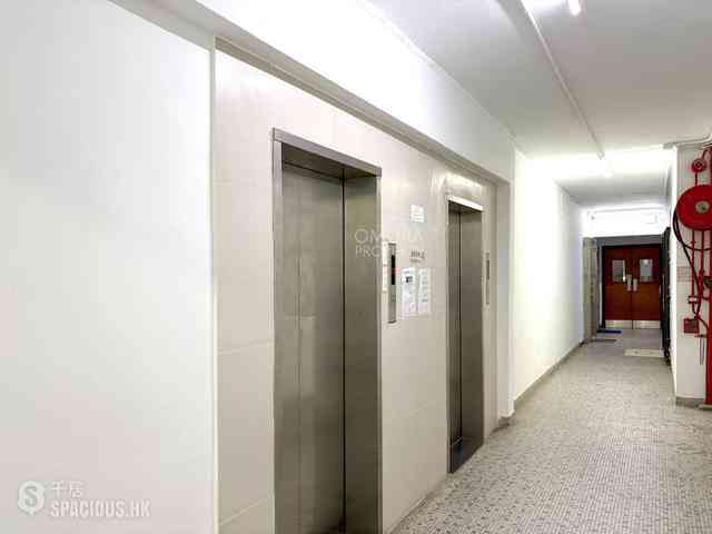 Causeway Bay - Hoi To Court 27