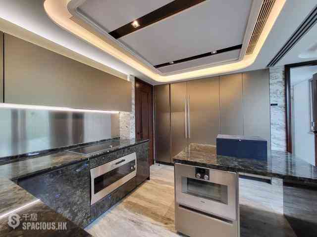 中半山 - 21 Borrett Road 1期 15