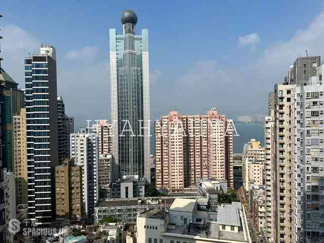 Sai Ying Pun - 15 Western Street 08