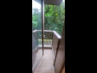 Shau Kei Wan - Island Garden 05