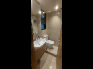 Shau Kei Wan - Island Garden 07