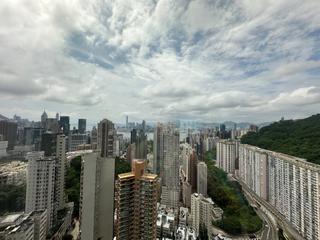 Tai Hang - The Signature 08