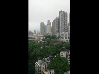 Sai Ying Pun - Island Crest Block 1 02