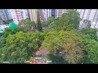 Central - Hollywood Road, 228-230 09