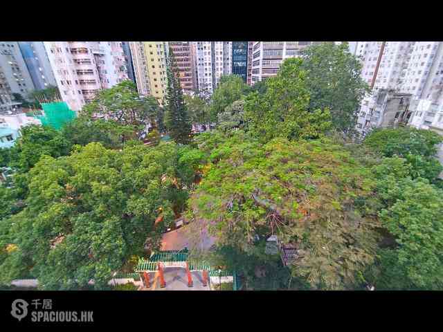 Central - Hollywood Road, 228-230 09