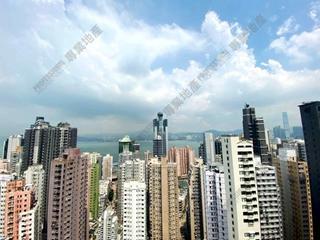 Sai Ying Pun - The Summa 05