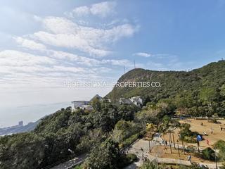 山顶 - The Mount Austin 15