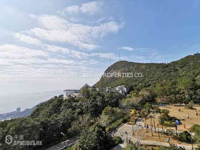 山顶 - The Mount Austin 15
