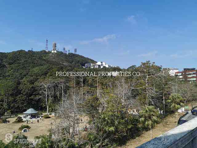山顶 - The Mount Austin 16