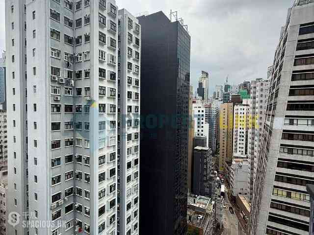 Sheung Wan - Medal Court 13
