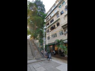 Poho - 大安台8号 37