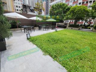 堅尼地城 - Lexington Hill 30