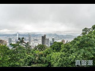 The Peak - Haking Mansions 06