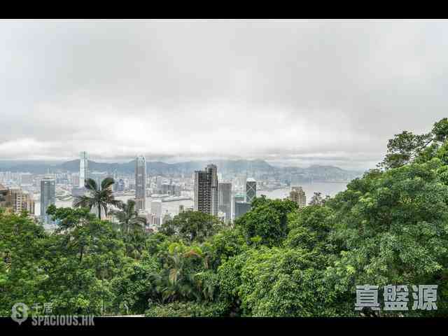 The Peak - Haking Mansions 06
