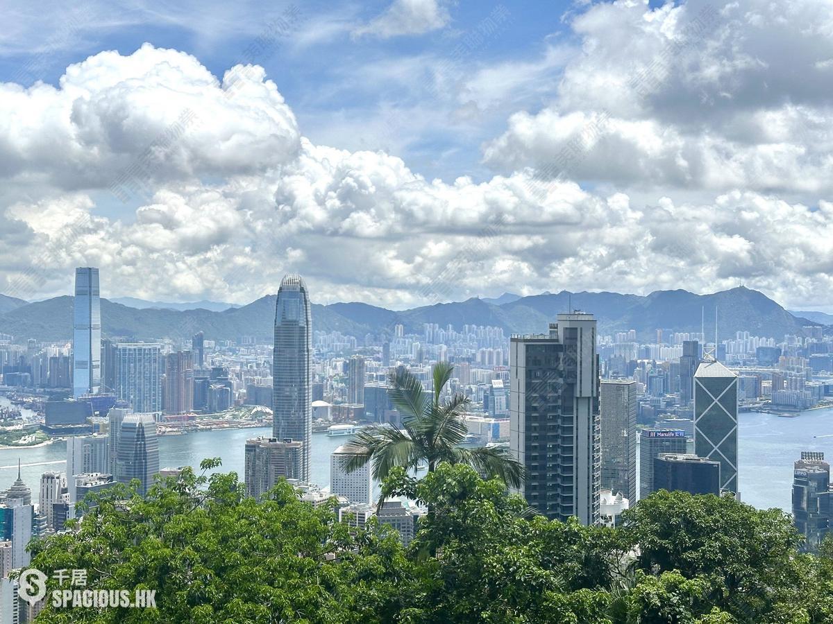 The Peak - Haking Mansions 01