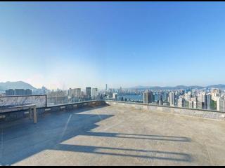 大坑 - 柏园 05