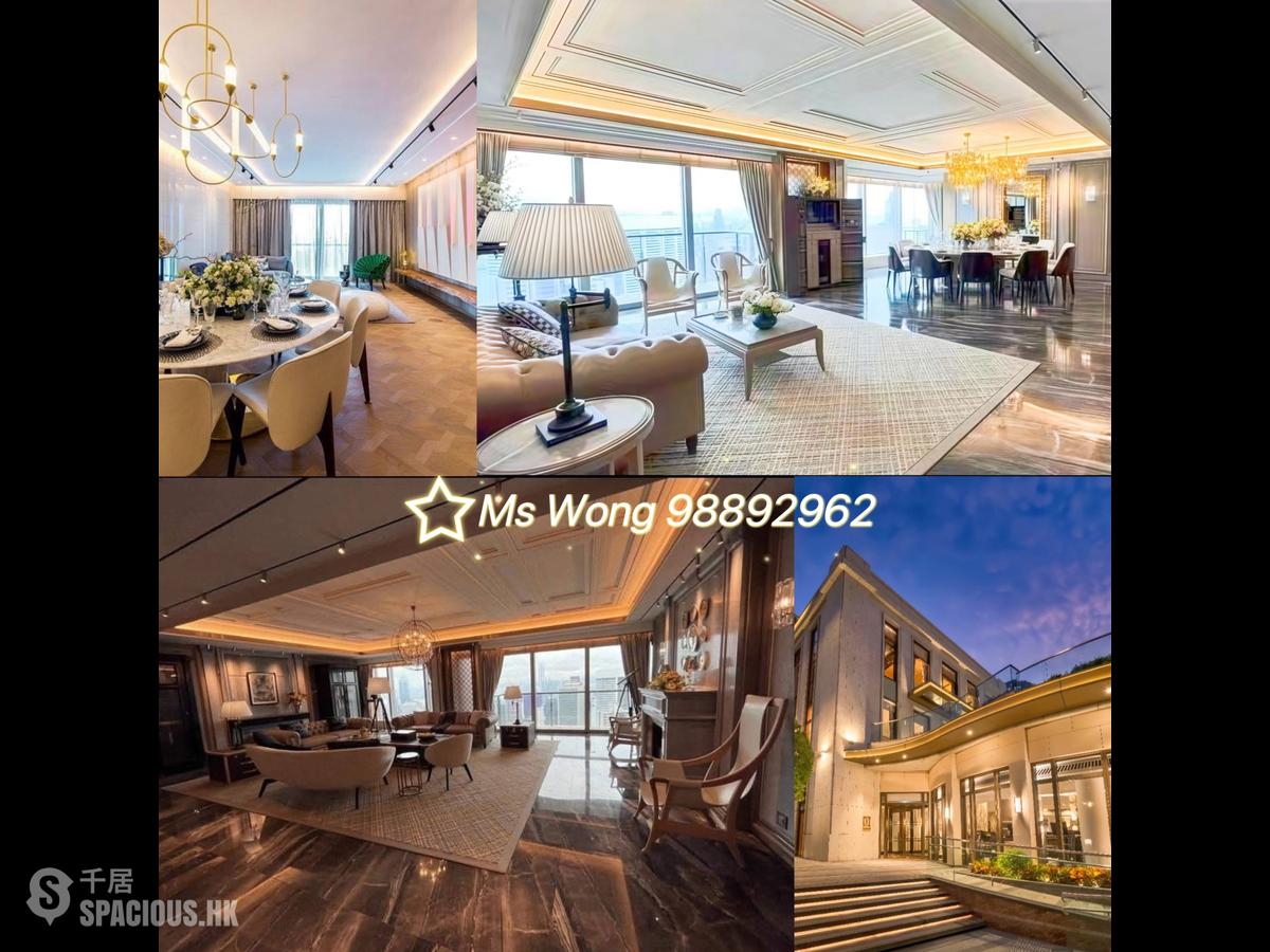 中半山 - 21 Borrett Road 01