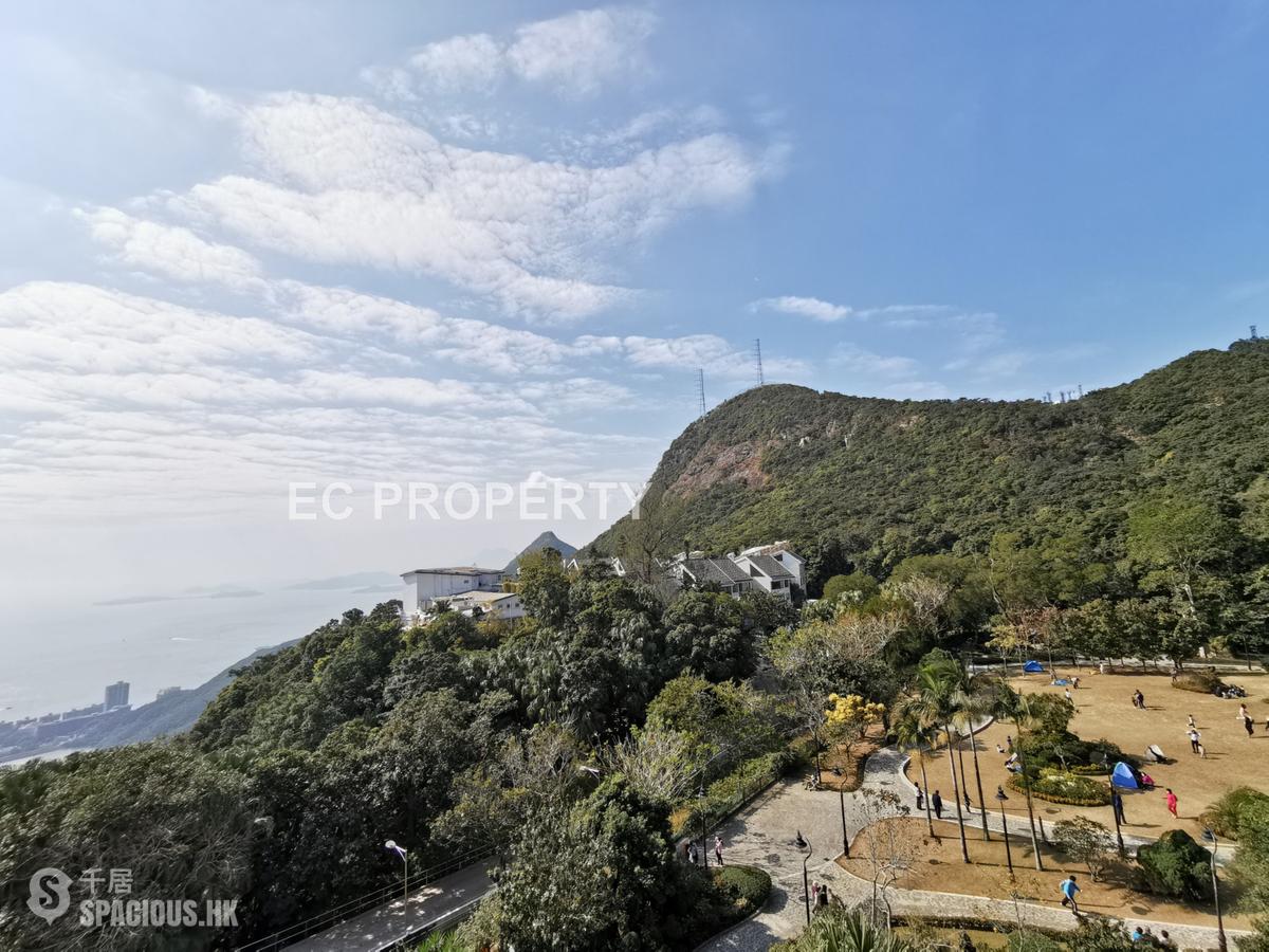 The Peak - The Mount Austin 01
