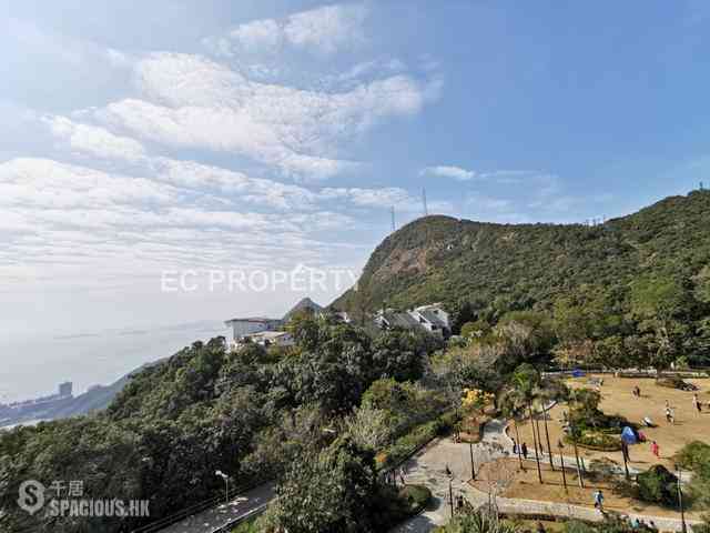 The Peak - The Mount Austin 01