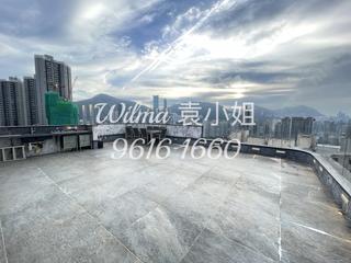大坑 - 柏园 02