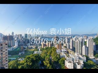大坑 - 柏园 08