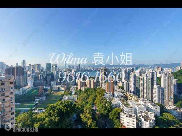 大坑 - 柏园 08