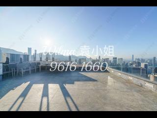 大坑 - 柏园 09