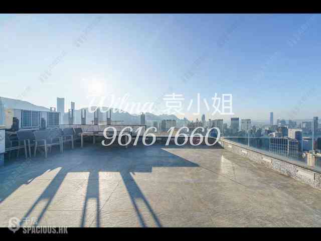 大坑 - 柏园 09