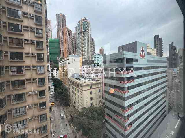 Sheung Wan - Hollywood Hill 08