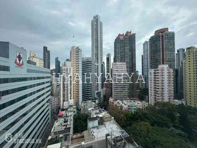 Sheung Wan - Hollywood Hill 09