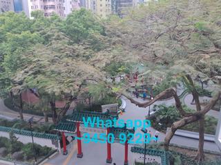 Poho - 238, Hollywood Road 13