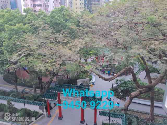 Poho - 238, Hollywood Road 13